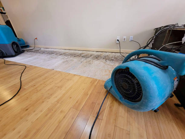 Professional Basement Flood Cleanup technician working in Linden, MI